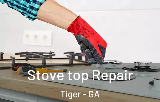  Stove top Repair Tiger - GA
