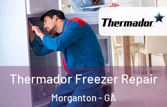 Thermador Freezer Repair Morganton - GA