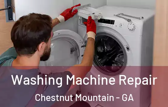  Washing Machine Repair Chestnut Mountain - GA