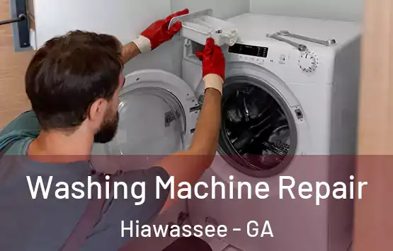  Washing Machine Repair Hiawassee - GA