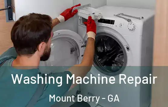  Washing Machine Repair Mount Berry - GA