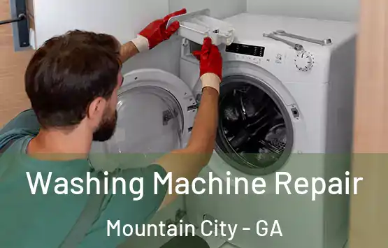  Washing Machine Repair Mountain City - GA