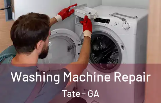  Washing Machine Repair Tate - GA