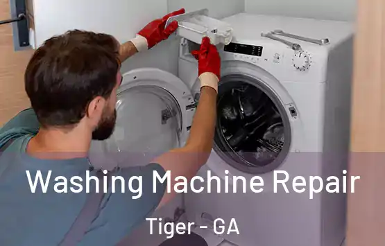  Washing Machine Repair Tiger - GA