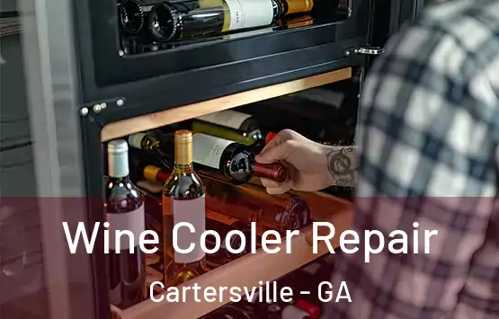 Wine Cooler Repair Cartersville - GA