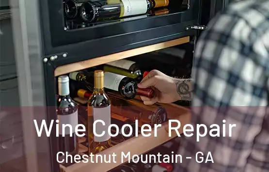  Wine Cooler Repair Chestnut Mountain - GA
