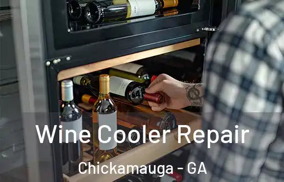  Wine Cooler Repair Chickamauga - GA