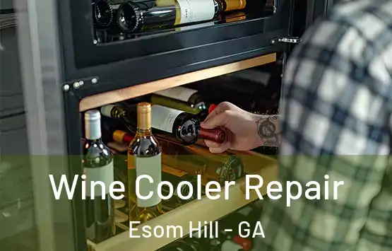  Wine Cooler Repair Esom Hill - GA