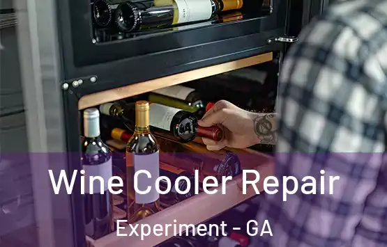  Wine Cooler Repair Experiment - GA