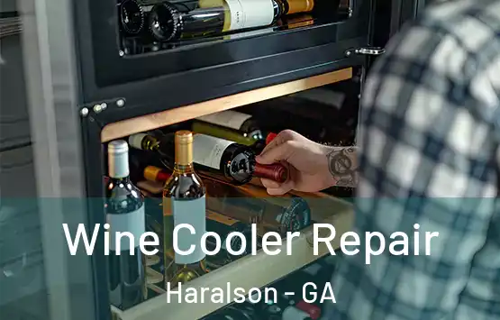  Wine Cooler Repair Haralson - GA