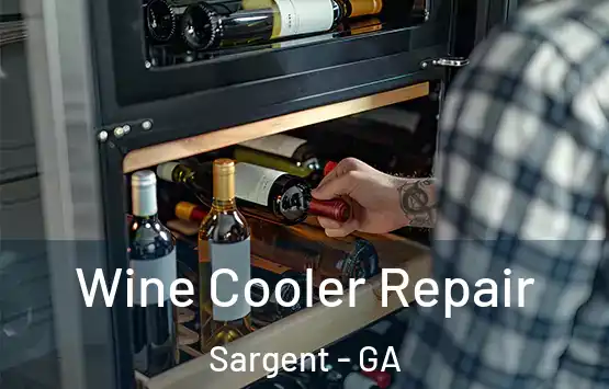  Wine Cooler Repair Sargent - GA