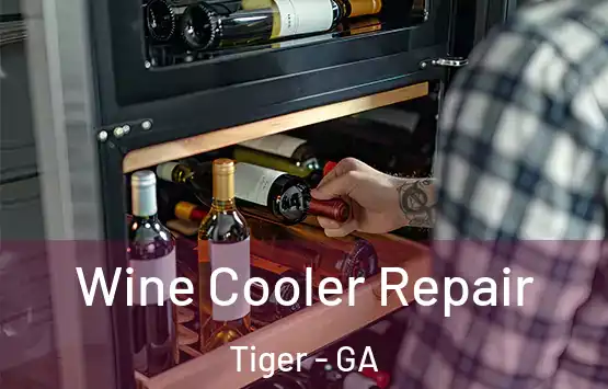  Wine Cooler Repair Tiger - GA