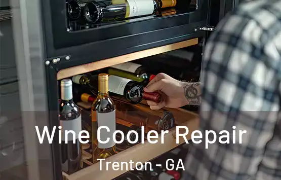  Wine Cooler Repair Trenton - GA